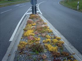 Verkehrsinseln 17.JPG