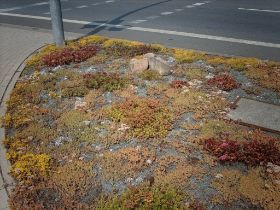 Verkehrsinseln 02.JPG