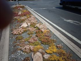 Verkehrsinseln 04.JPG