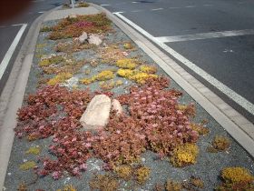 Verkehrsinseln 07.JPG