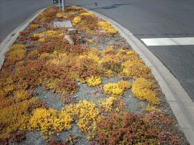 Verkehrsinseln 09.JPG