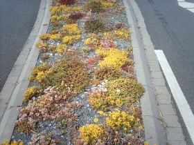 Verkehrsinseln 15.JPG