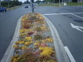 Verkehrsinseln 16.JPG